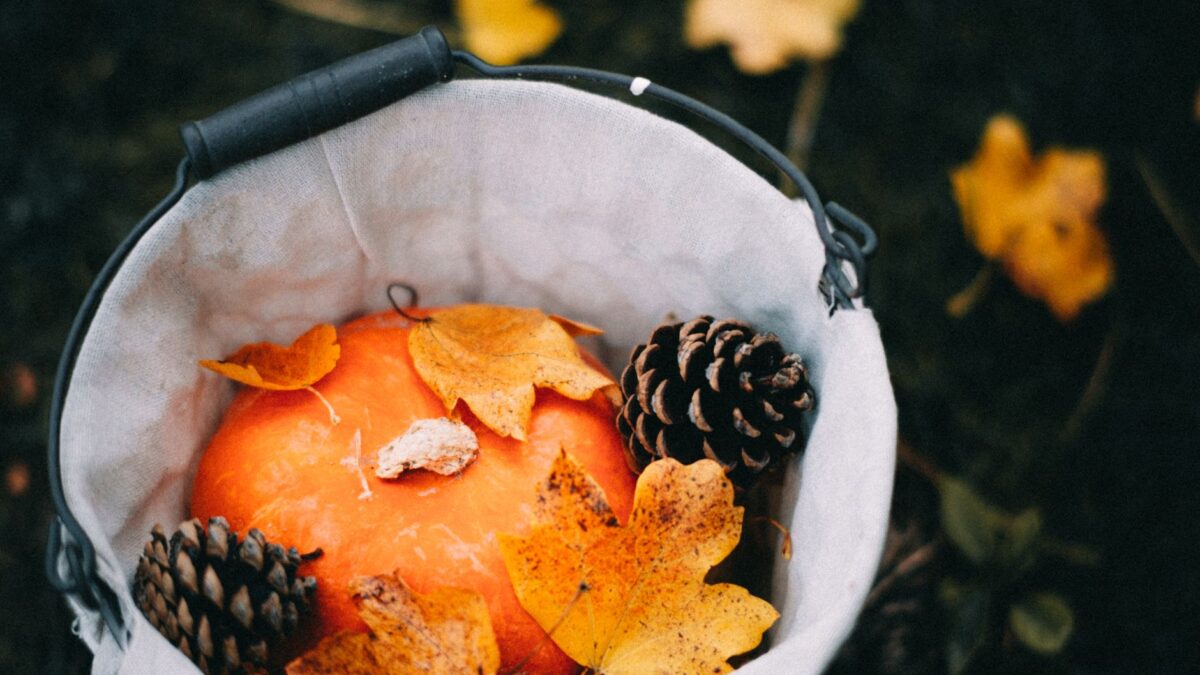 Vacances de la Toussaint : 8 activités Montessori d'automne avec ce que l'on ramasse dehors